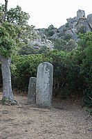 Sartenais, im Menhirwald von Cicali 1.JPG